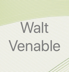 Senior Architect